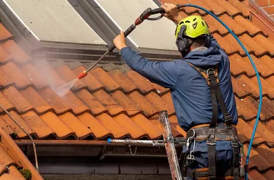 Démoussage et hydrofuge de toiture à Sambourg
